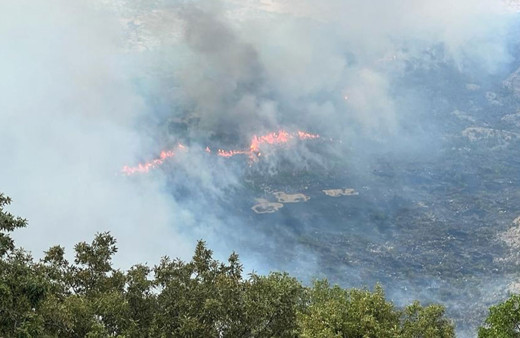 Diyarbakır'da çıkan orman yangını söndürüldü