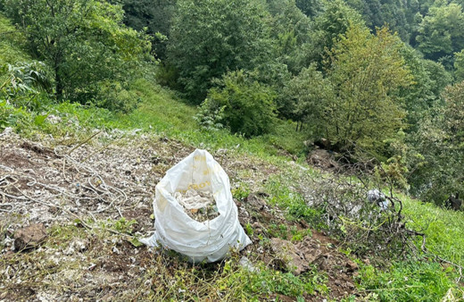 Ormana tıbbi sarf malzemesi döken firmaya 812 bin lira ceza!