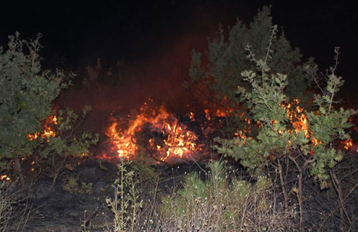 Trakya’da bu yaz 126 hektar ormanlık alan yandı!