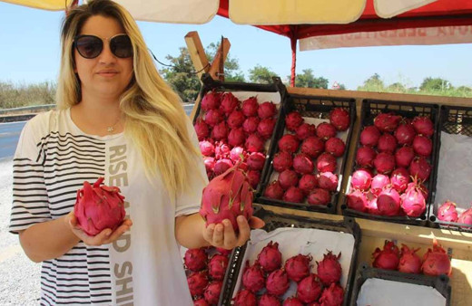 Yediği meyve hayatını değiştirdi, kendi işinin patronu oldu