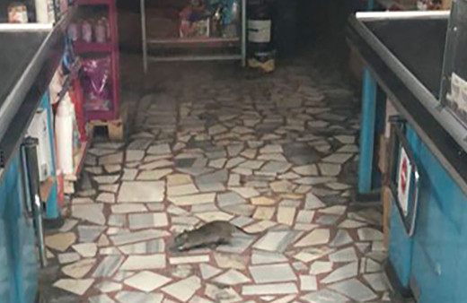 A101 market fare yuvası gibi! Görüntüler müşterileri isyan ettirdi