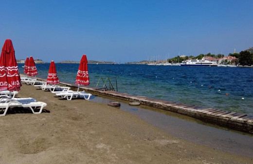İzmir Foça'da turizmi denizanası vurdu, plajlar boş kaldı!