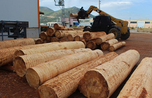 Mobilya, kağıt ve orman ürünlerinin 7 aylık ihracatı 4,5 milyar doları aştı!