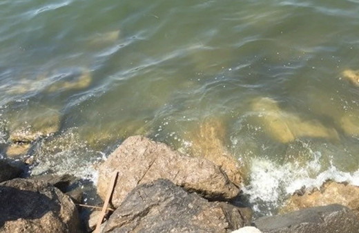 Edremit Körfezi'ne sağlıklı giren hasta çıkıyor! 10 yıldır can çekişiyor