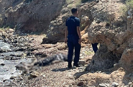 Datça'da sahilde vatandaşlar ceset buldu!
