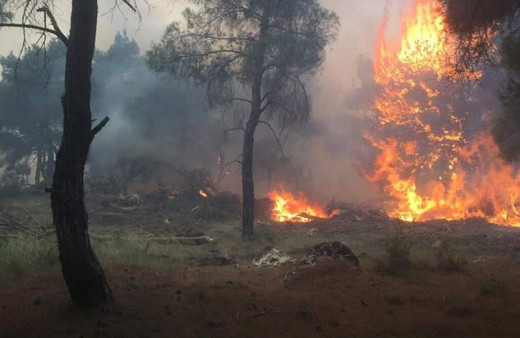Çanakkale'de devam eden orman yangını şehir merkezine kadar yaklaştı