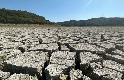 Kemerburgaz Kent Ormanı'ndaki göl adeta çöle döndü