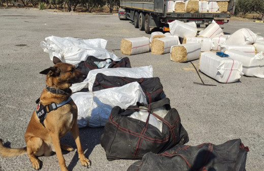 Osmaniye'de tırda 172 kilo 200 gram uyuşturucu ele geçirildi!