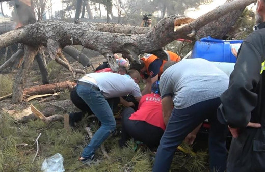 Orman yangınına müdahale ederken üzerine ağaç devrildi