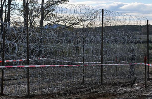 Bulgaristan'a geçmek isteyen 64 düzensiz göçmen ormanlık alanda yakalandı!