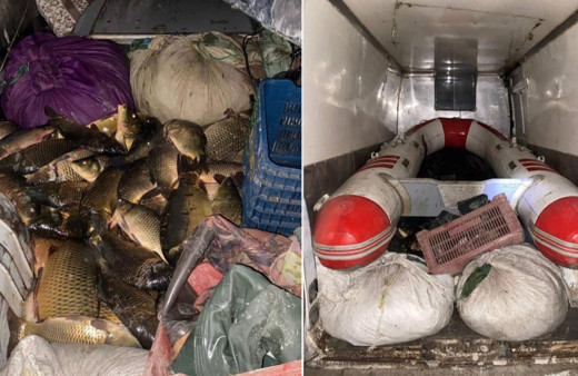 Kastamonu'da kaçak balık avcılarına suçüstü baskın!