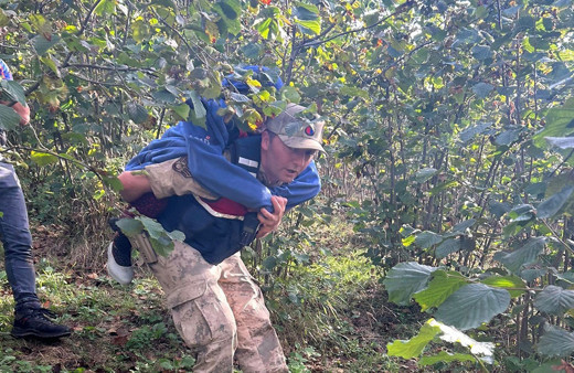 Ordu'da kaybolan Alzheimer hastası yaşlı kadın bulundu! Jandarma yaşlı kadını sırtında taşıdı