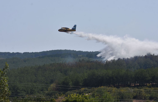 Tekirdağ'da çıkan orman yangını söndürüldü!