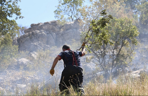 Diyarbakır'da orman yangını kontrol altına alındı: Soğutma çalışmaları sürüyor
