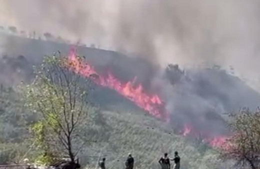 Büyükçekmece'de korkutan yangın! Alevler binalara yaklaştı