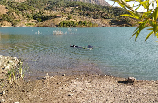 Mutfak tüpü evlerini yaktı, kadın ortadan kayboldu! Evi yanan kadını köylüler buldu