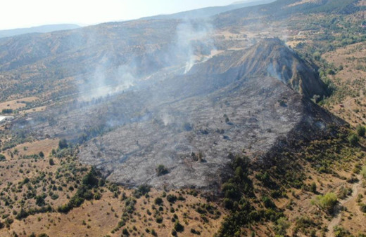 Ilgaz Dağı’nda 15 hektar orman alanı küle döndü!