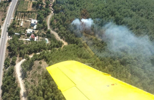 İzmir’de orman yangını büyümeden söndürüldü!