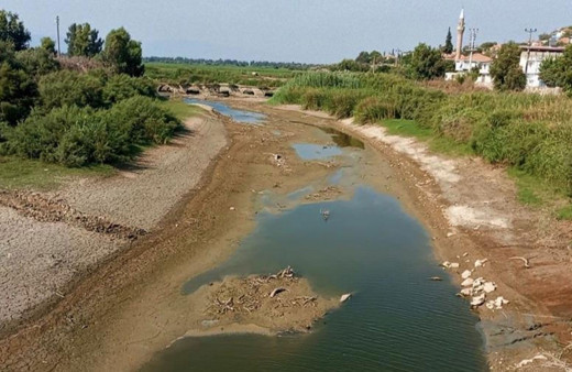 Menderes nehri kurudu, yüzlerce balık ölmeye başladı!