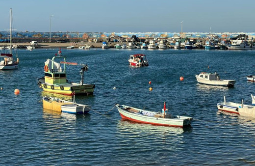 Balıkçılar yeni sezona hazır! Hamsi bolluğu bekleniyor!