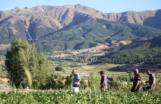 Bingöllü Çerkezler terör nedeniyle terk ettikleri köylerine dönüyor!