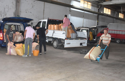 TMO Giresun'da fındık alımlarına başladı