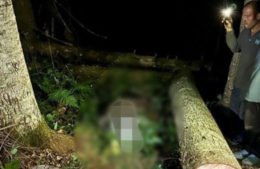 Orman işçisi kestiği ağacın altında kalarak öldü!