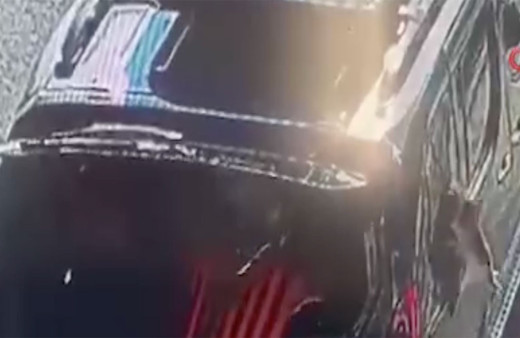 Kısırlaştırılmaya götürülen kedi herkesi şoke etti! Kafasıyla araba camını kırdı