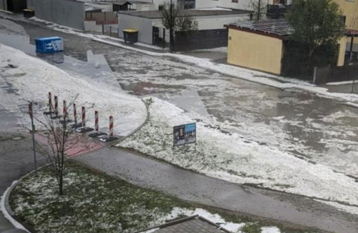 Almanya'da tenis topu büyüklüğünde dolu yağdı, hayvanlar telef oldu