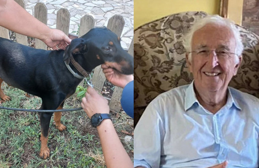 Sahibi Korhan Berzeg'in izini köpeği Tina sürecek! GPS cihazı takıldı