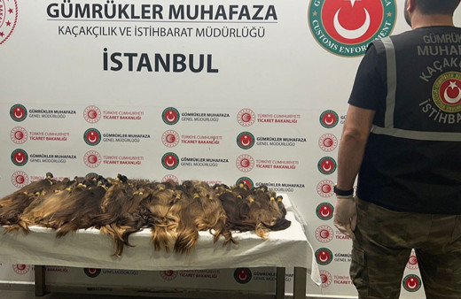 İstanbul'da 1,3 milyon lira değerinde kaçak insan saçı ele geçirdi!