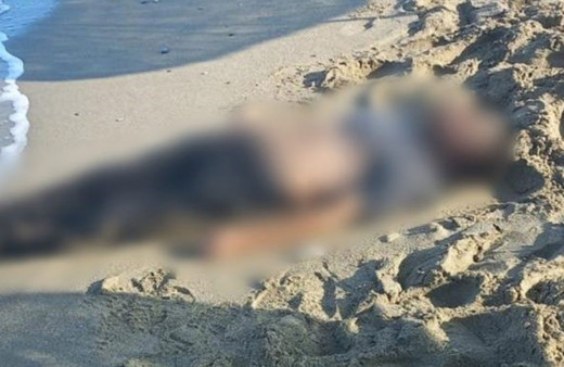 Aydın Kuşadası’nda deniz kıyısına erkek cesedi vurdu!