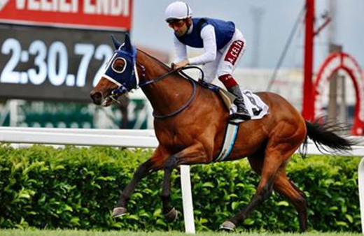 İstanbul Yarış Festivali, yarın Veliefendi Hipodromu'nda başlayacak!