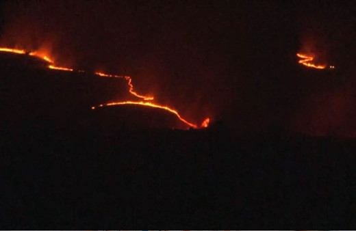 Bulgaristan'daki orman yangını Türkiye'ye ilerliyor!