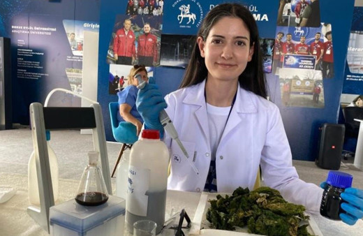 Deniz marullarından, hidrojen gazı elde ediyorlar!