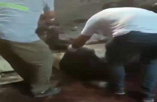 Adana'da eşek eti operasyonu! 12 eşek ele geçirildi