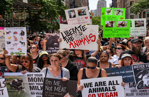 New York'ta vegan gruplardan protesto! Dünyaca ünlü markaları protesto ettiler