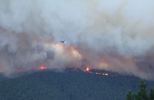 Kütahya'daki orman yangını kontrol altına alındı