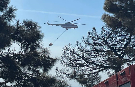 Maltepe'de ormanlık alanda yangın çıktı