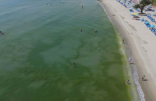 Kirlilik nedeniyle kapatılan Florya Güneş Plajı yanında suya girdiler