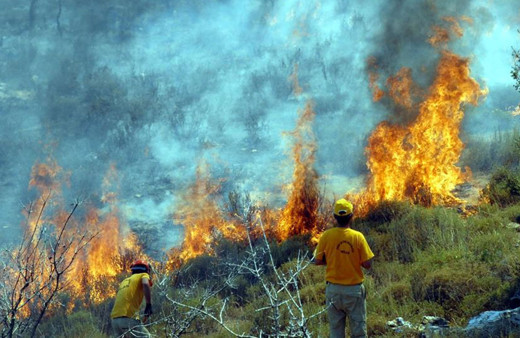 Muğla'da 36 noktada yangın çıktı! Orman Bölge Müdürlüğü sebebini açıkladı