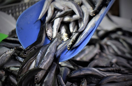 Tezgahlar hamsiyle doldu fiyat düştü! Kilosu bakın ne kadar oldu