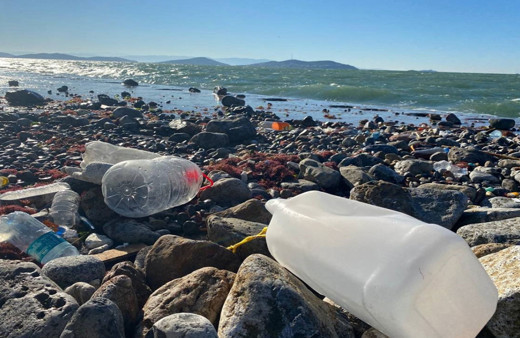 Bodrum Belediyesi denizleri temizledi! Deniz dibinden 2 tonu aşkın atık çıkarıldı