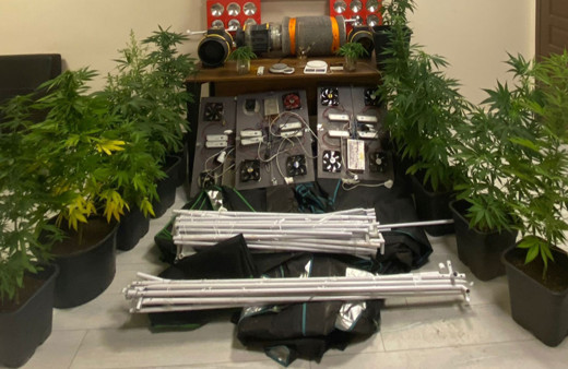 Evine sera kurup uyuşturucu yetiştiren kişi gözaltına alındı!