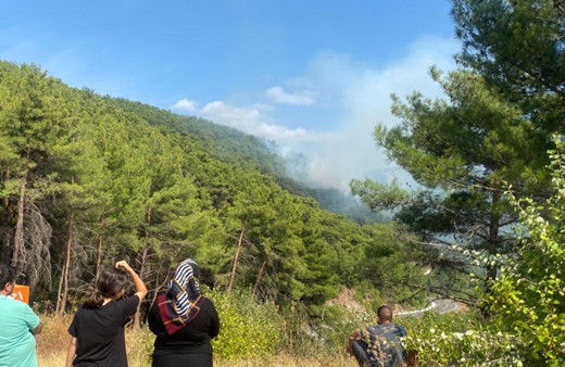 Kazdağları'nda yangın çıktı! Havadan ve karadan müdahale başladı