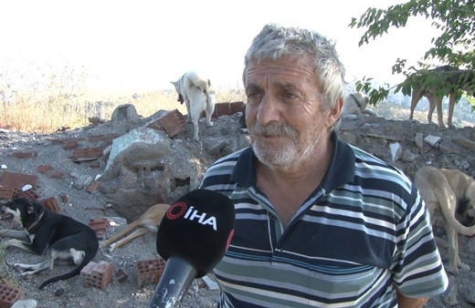 Ankara'da sokak köpekleri için dehşeti yaşattı! Komşusuyla tartışıp kafasından vurdu