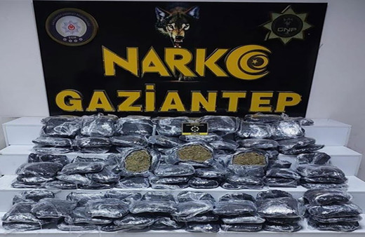 Gaziantep'te polis ekiplerinden uyuşturucu operasyonu! 51 kilo skunk ele geçirildi