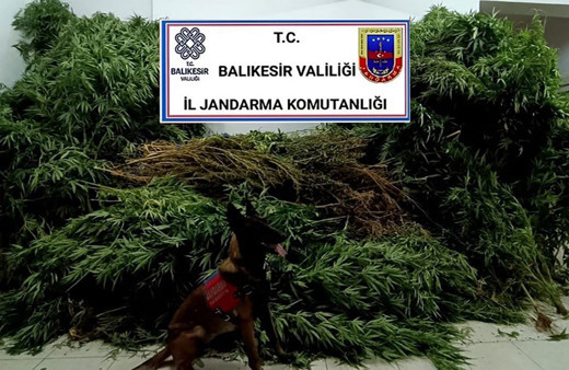 Balıkesir'de jandarma ekiplerinden uyuşturucu operasyonu!
