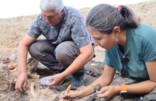 Tavşanlı Höyük kazılarında 3 bin 700 yıllık insan beyni ve deri kalıntıları ortaya çıktı