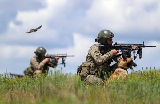 MSB duyurdu: Sınır hattında 12 kişi yakalandı